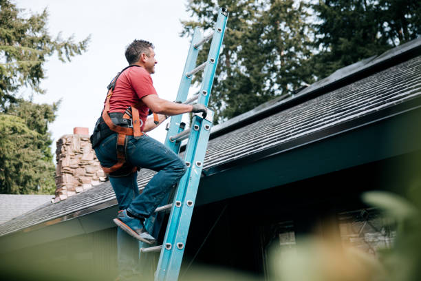 Best Steel Roofing  in Doylestown, OH